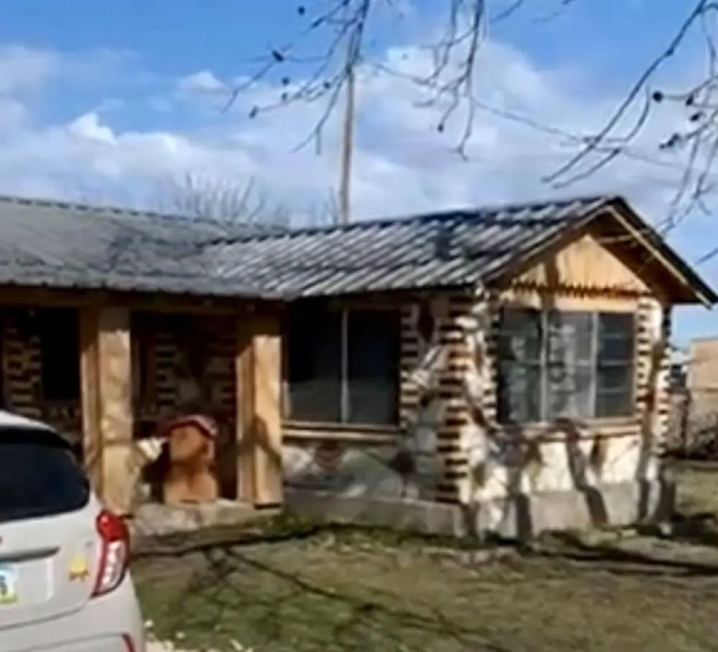 Buena Vista Wildlife Safari and RV Park