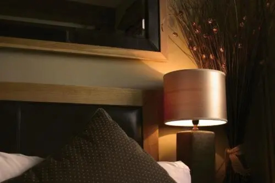 The Mole and Chicken