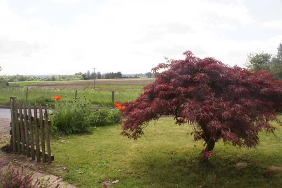 Smithy Cottage, Perthshire