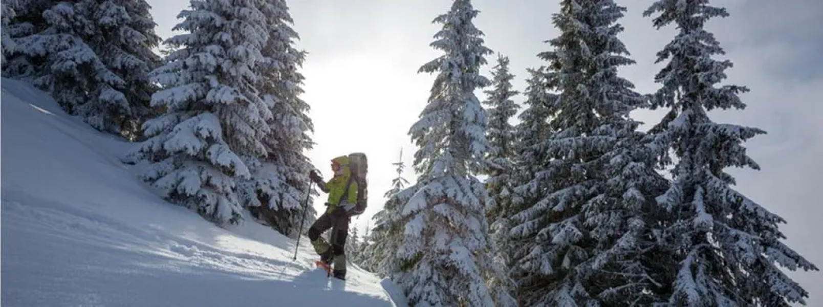Residence TreMasi Altopiano di Asiago