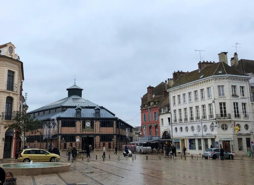 Apartment With one Bedroom in Sens, With Enclosed Garden and Wifi