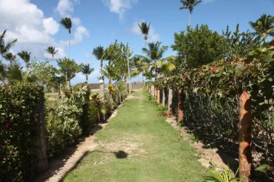 Chaykovski Boutique H