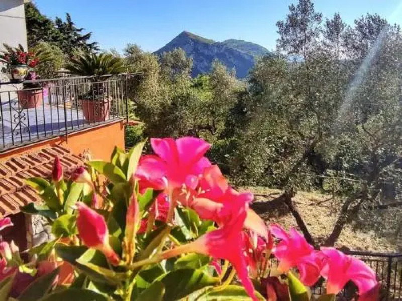 Locazione turistica Candy