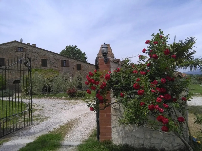 Maremma 2 apt in Tuscany With Garden and Pool
