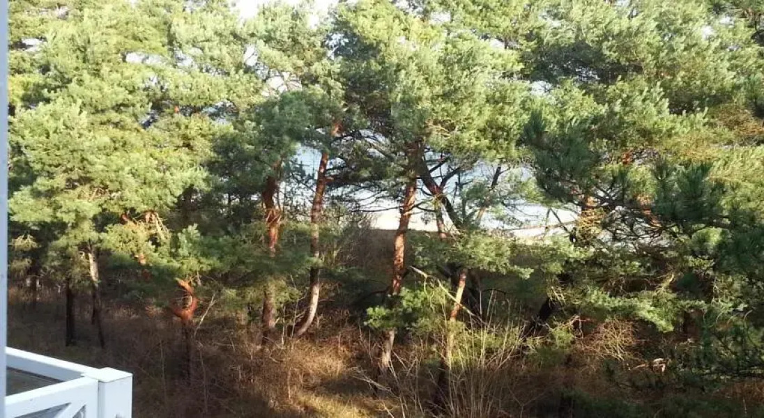 Meerblick Heringsdorf