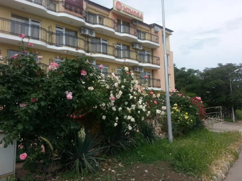 Hotel Mimosa