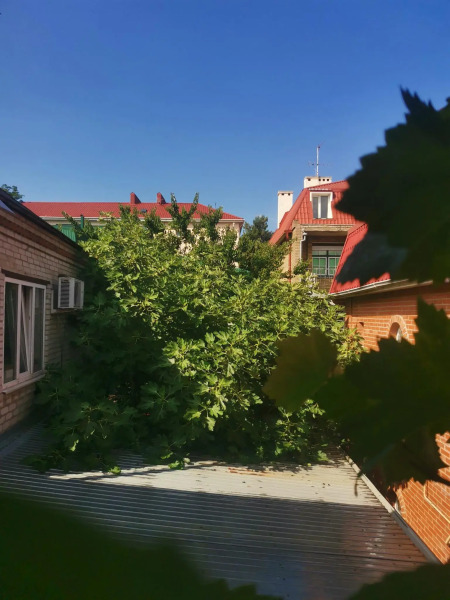 Елисеевский гостевой дом