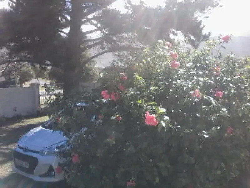 Self Catering Unit 6, Sandbaai