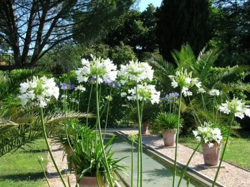 Chambres D'Hôtes Le Mas du Caroubier
