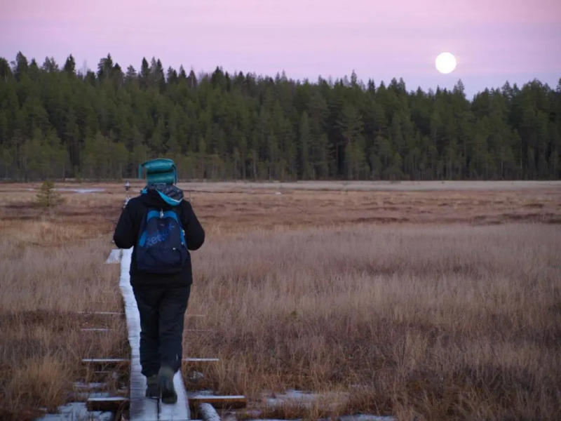 Koirasalmen Luontotupa