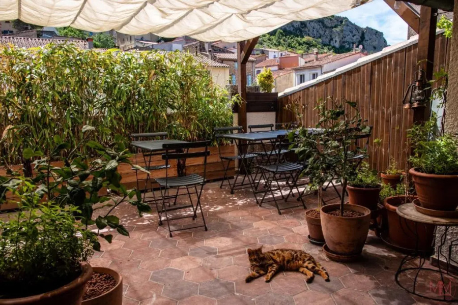 Origines (Adults Only)