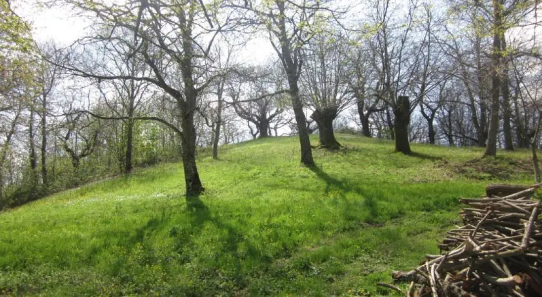 Agriturismo Podere Roccone