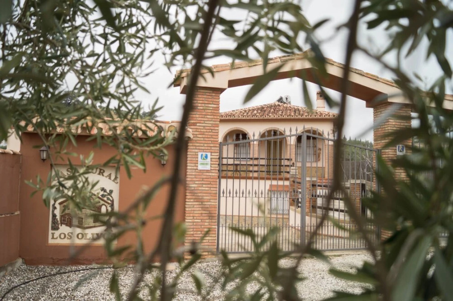 Casa Los Olivos