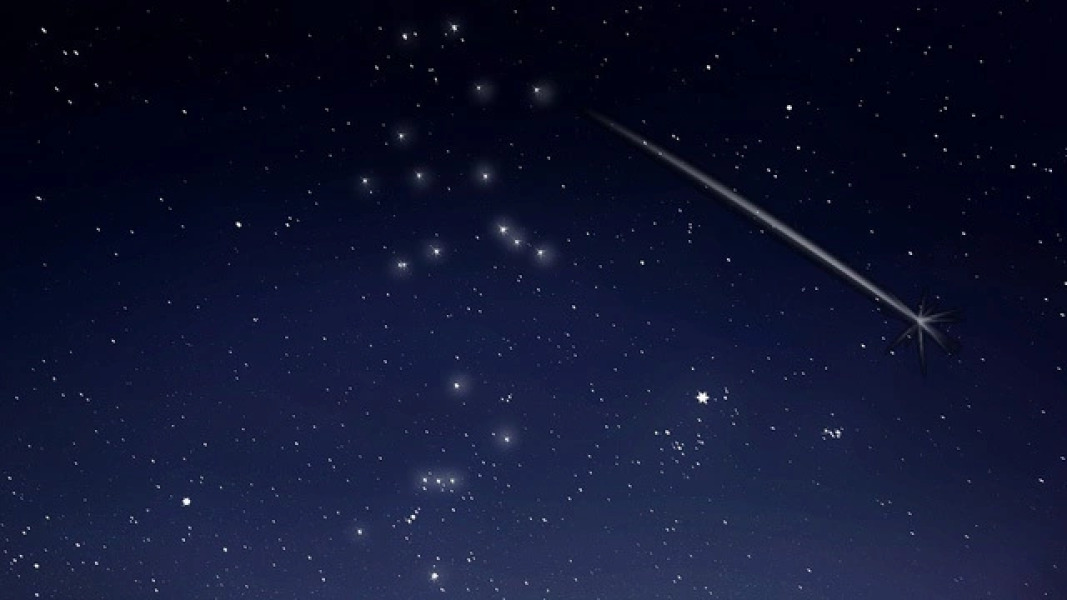 Kyukamura Ohkunoshima