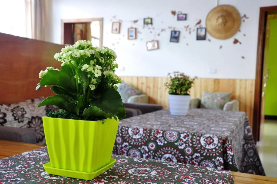 Dali Ancient Town Tianqingshe Inn