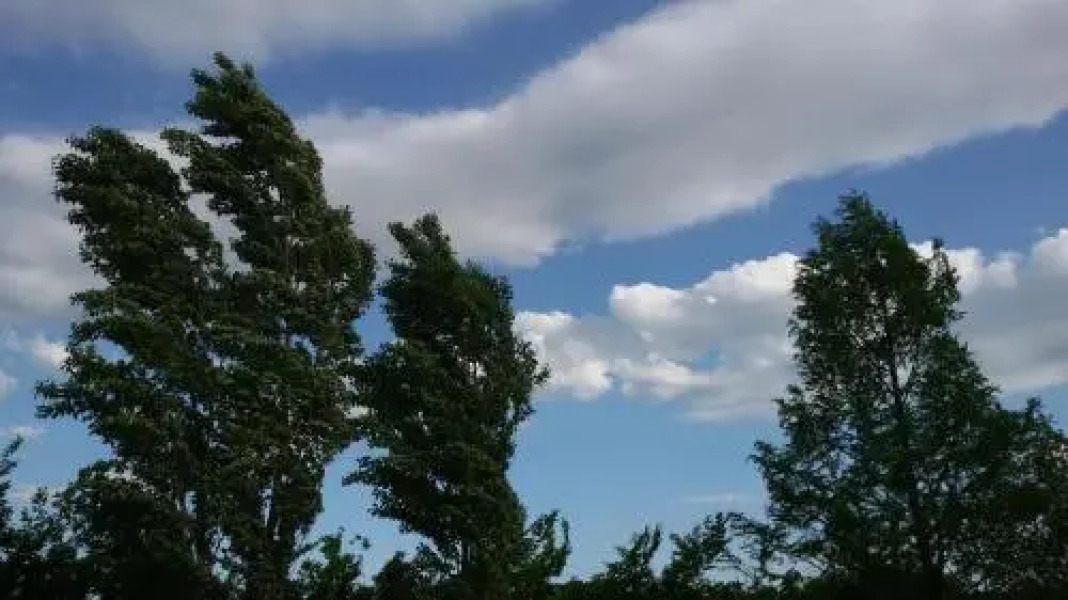 Appartamento Moletolo 169