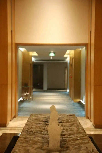 The Fern Residency Morbi