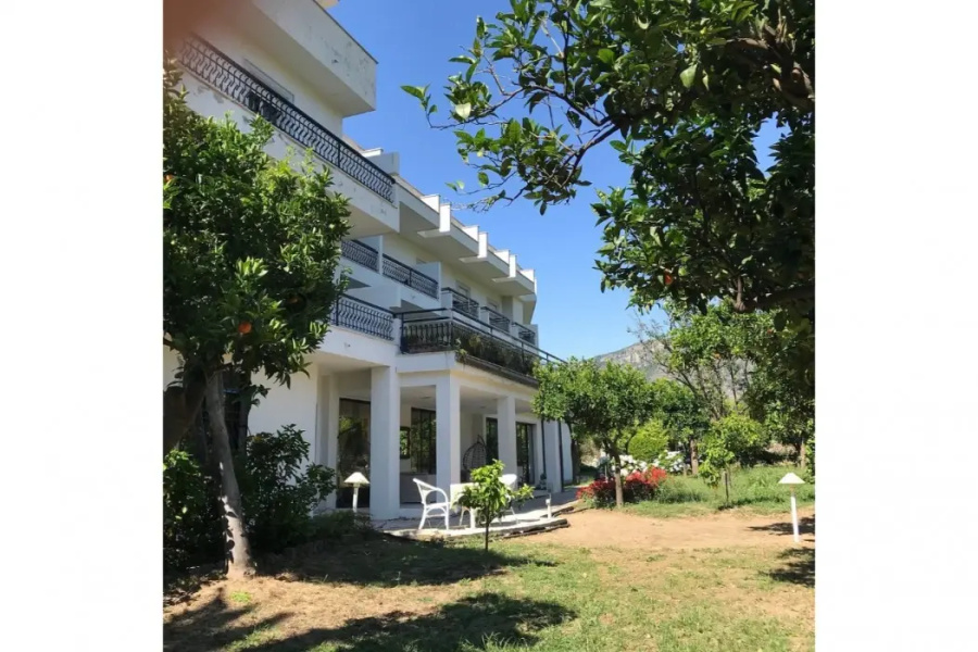 Hotel Alpha