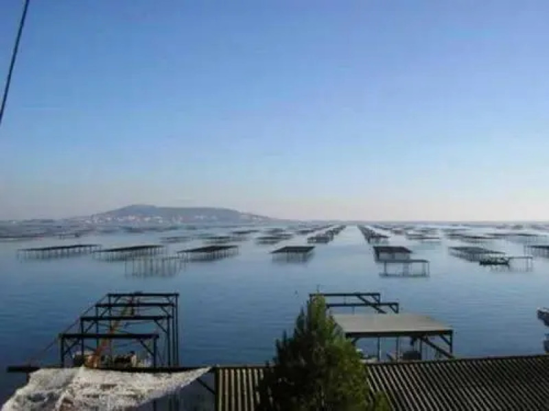 Apartment Cote mer 4