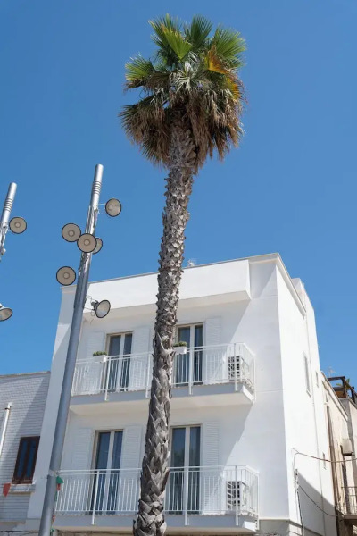 Leluan Bed & Breakfast