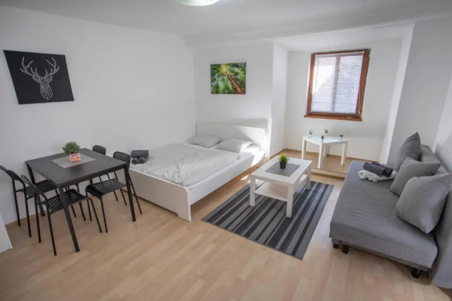 Hall City Deluxe Old Town Studio