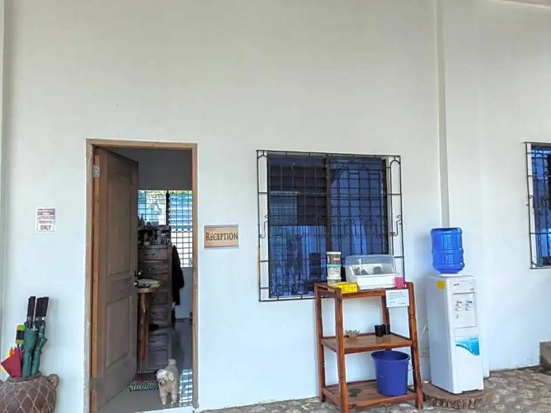 Divers Lodge Plumeria