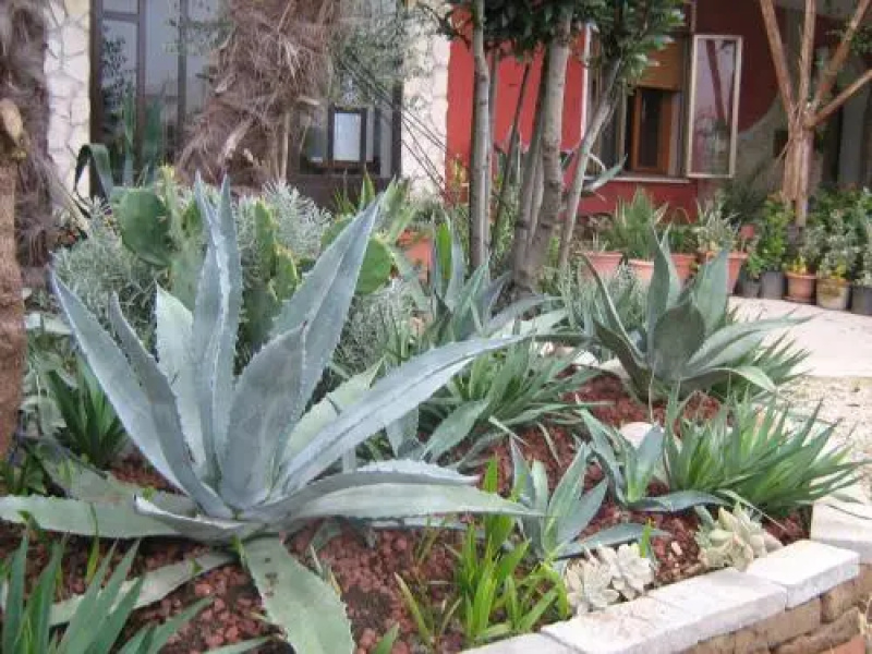 B&B Le Palme dOro