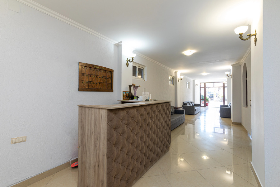 Невские звезды