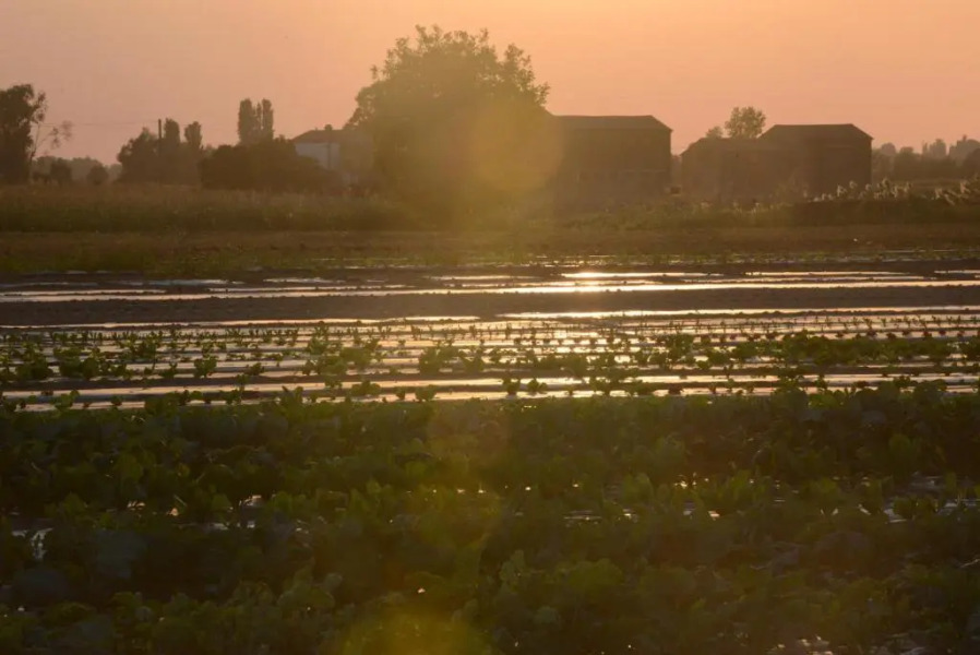 Ca' Vascon Alloggio Agrituristico