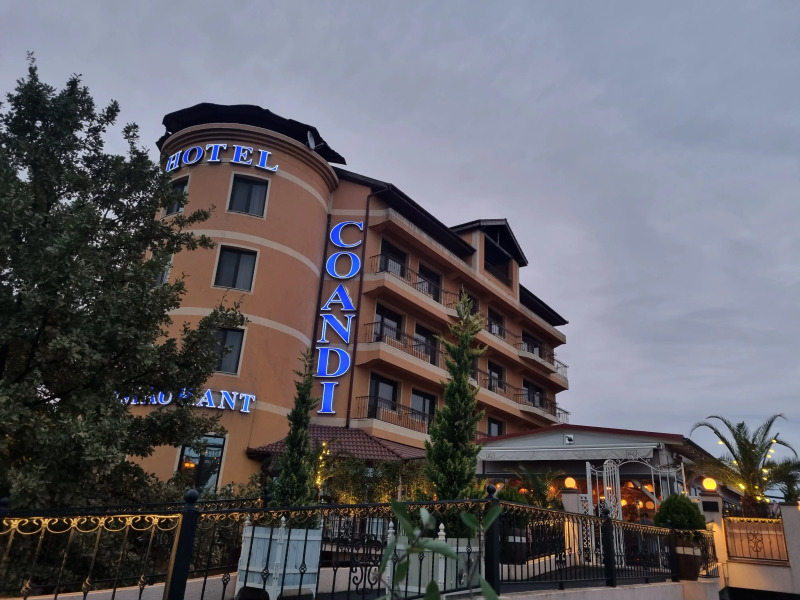 Hotel Coandi