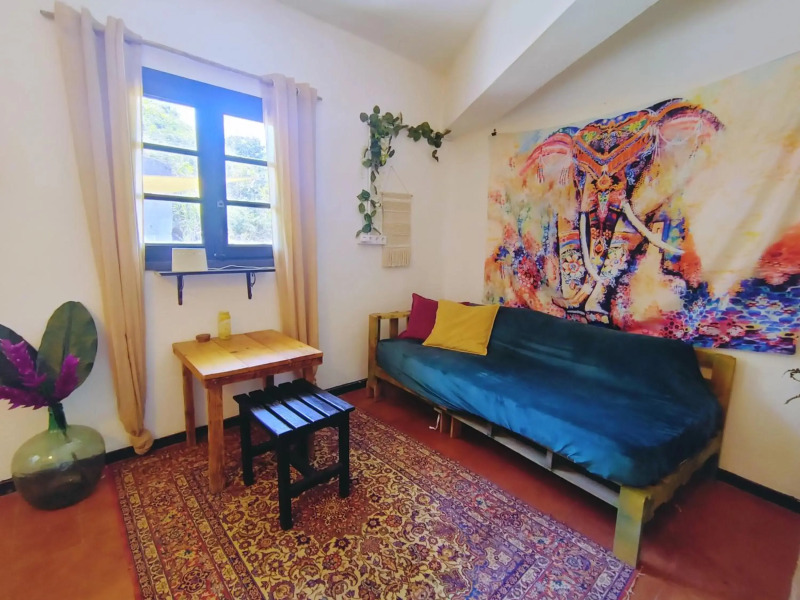 Free Canari - Los Alamos 8