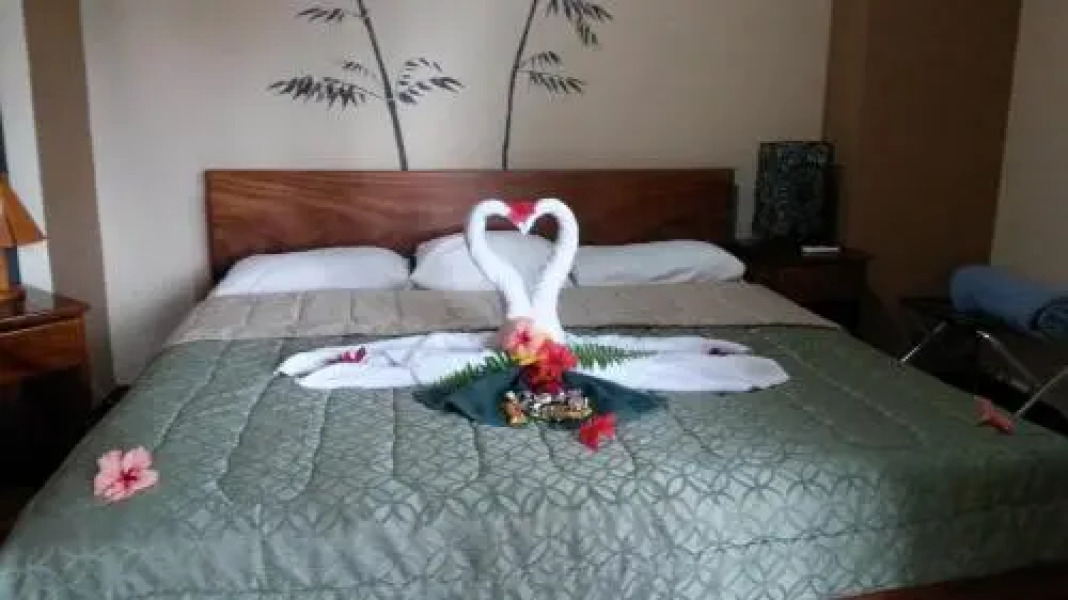 Mar y Selva Ecolodge