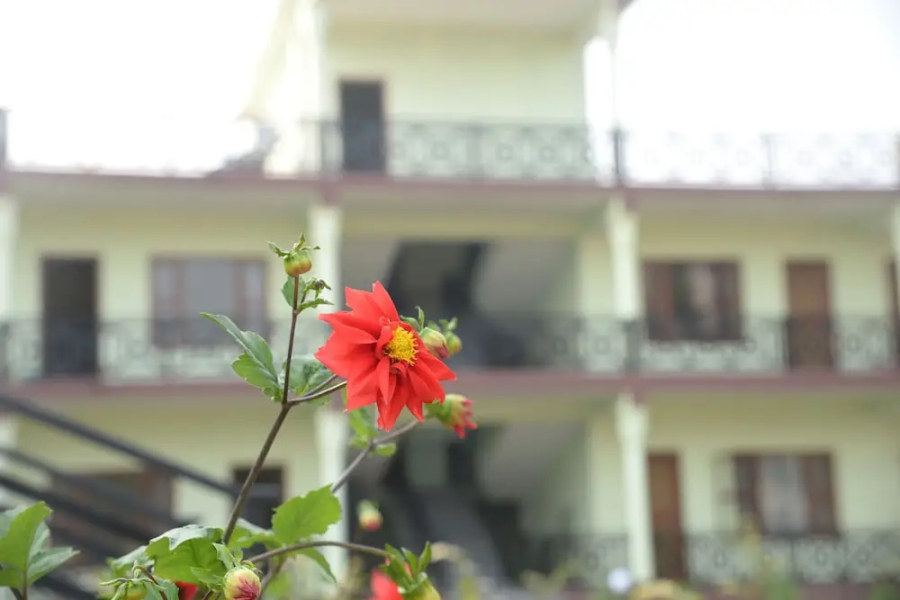 Mother Nature Resort