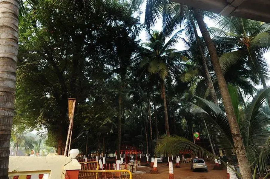 Anisha Resort