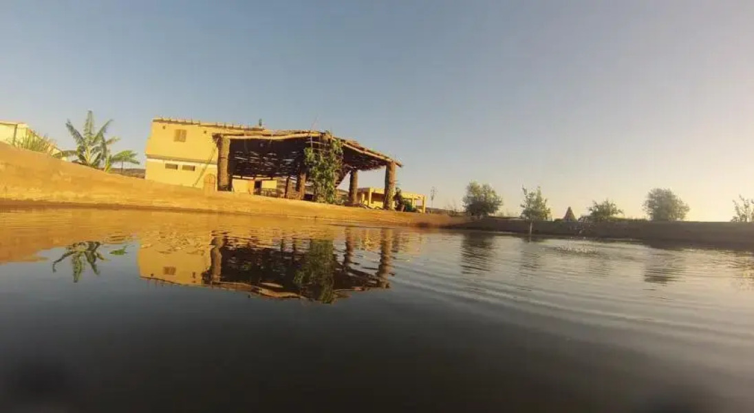 Desert Fox Club Camp