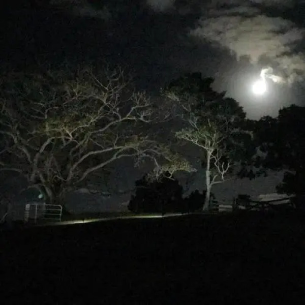Thirlestane Farm Cottage