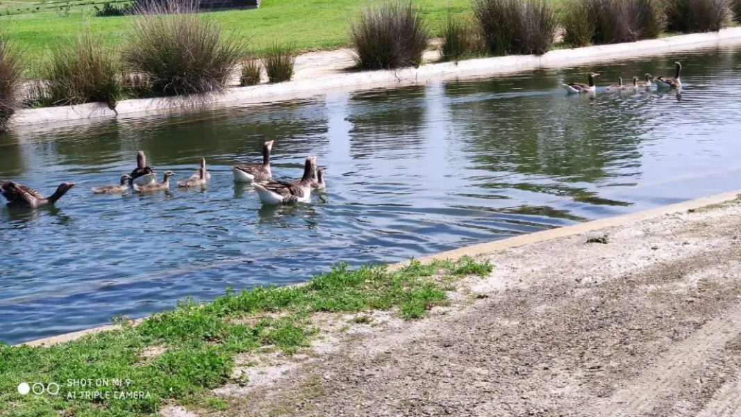 Costa Ballena Playa Alca Golf Bajo 20G