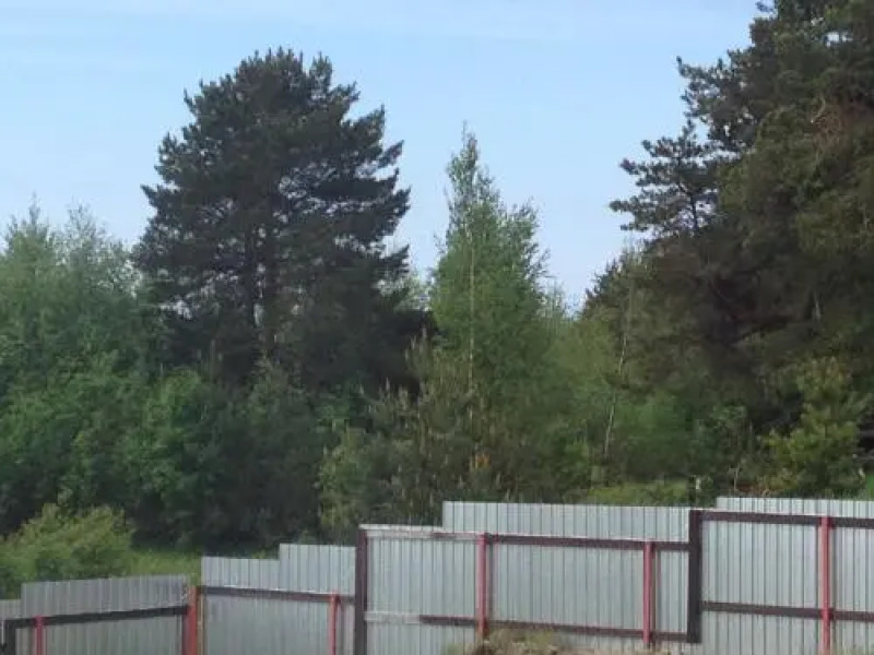 Guest House Zarechye 18