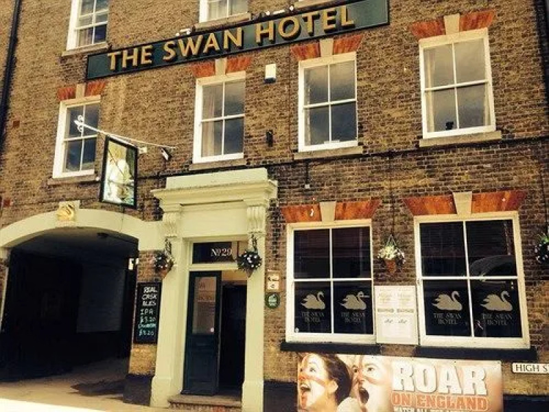 The Swan