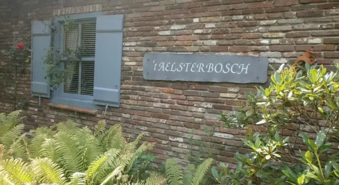 B&B t Aelsterbosch