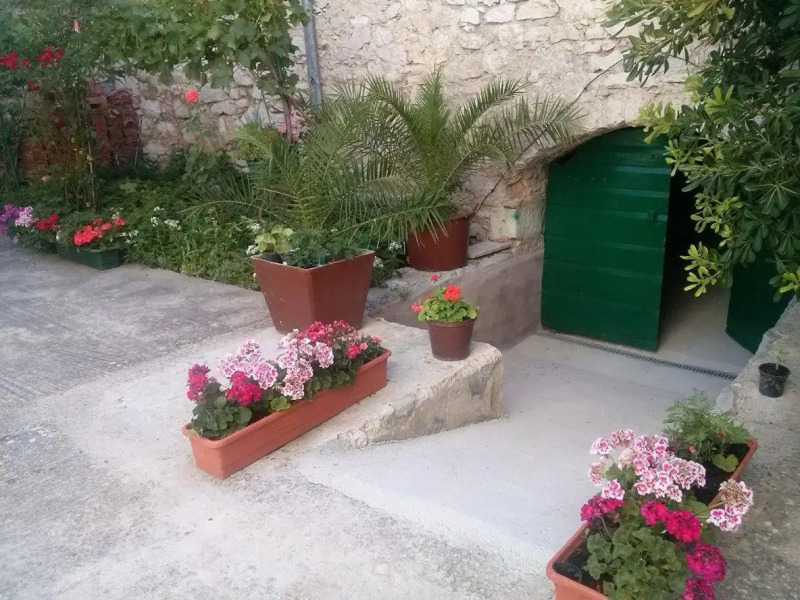 Guest House Maslac