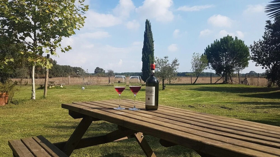 Holiday home Route de la Gare - 3