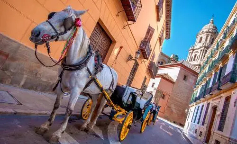 Villa Conmigo Bed & Breakfast