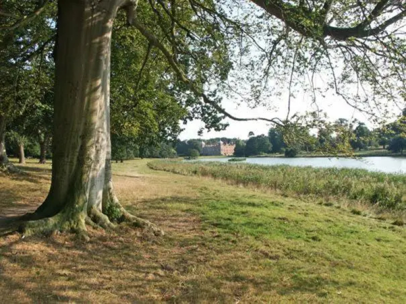 Walnut Tree Lodge
