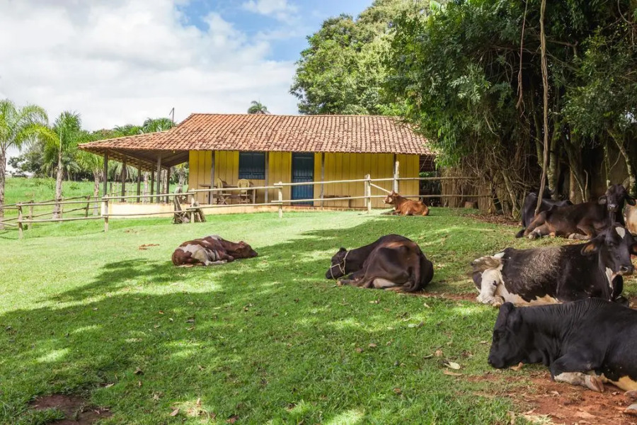 Hotel Fazenda Igarapés