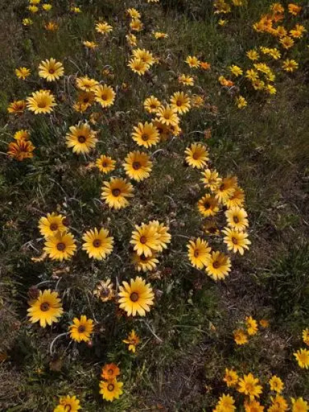 Rarangi Seaview On The Beach