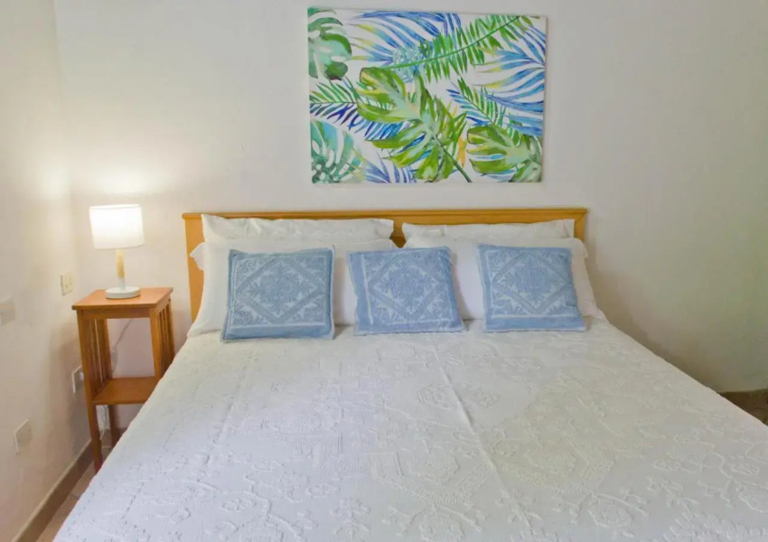 Jungle House - Pineta Is Morus