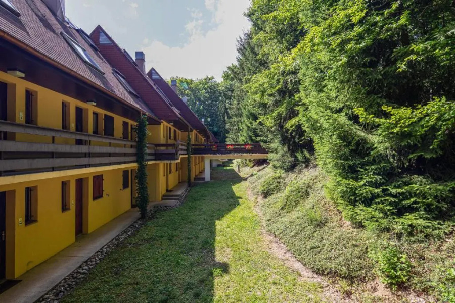 Wellholidays 19 - Studio avec balnéo