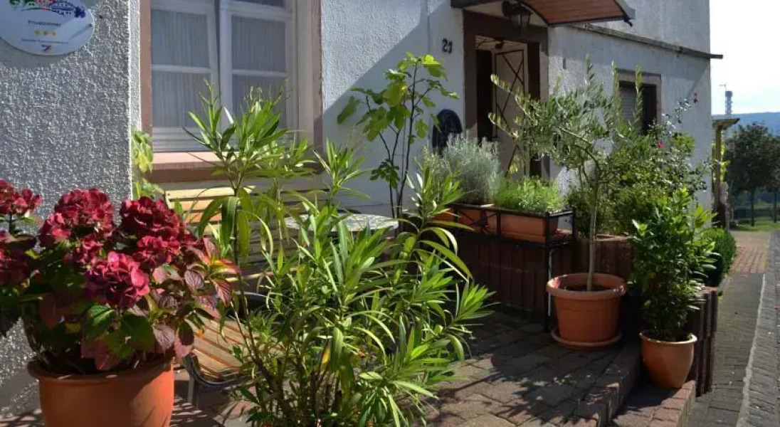 La Terrazza Pension***