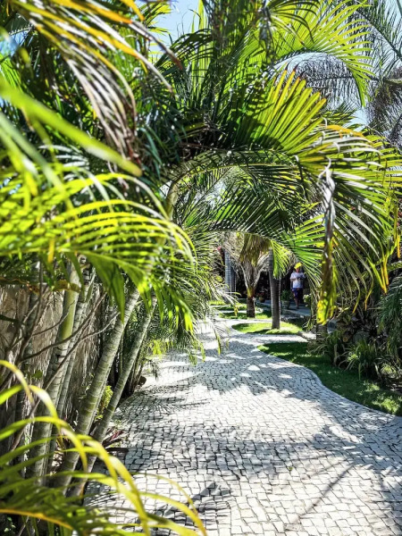 Room-luxurious Lodge Room 2